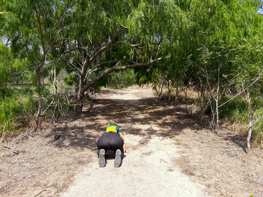  Sabal Palm Sanctuary.