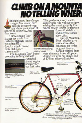Raleigh oldschoolracing.ch vintage Mountainbikes race ready