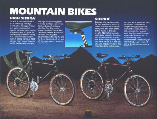 Used schwinn mountain bike 2025