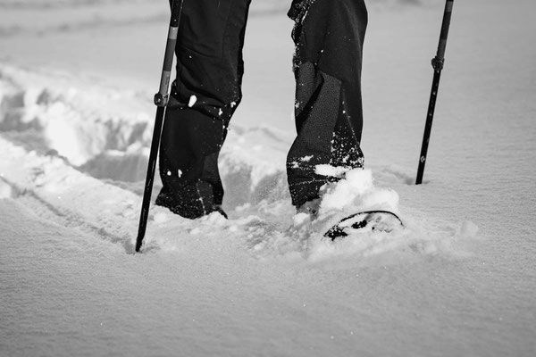 Schneeschuhwandern ab Prangerhof Trins - Gschnitztal - Bilder Johann Bitter - TVB Wipptal