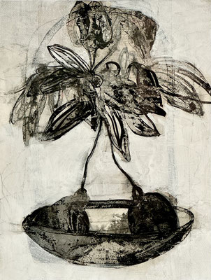 Twin plant, 2024, 50x40 cm (Montepulciano)
