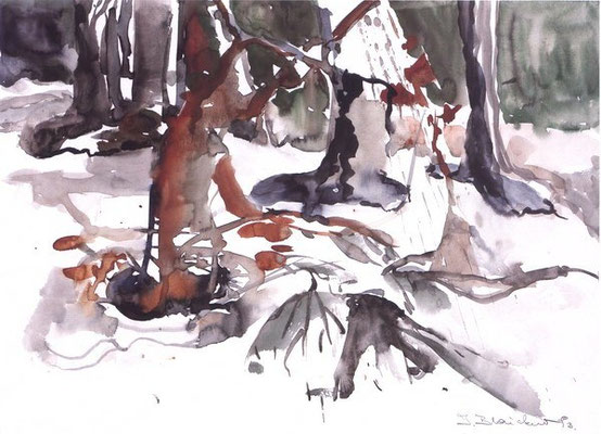 Unterholz | Aquarell auf Papier | 1993 | 42x32cm