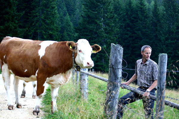 Der Bauer Werner und seine Rinder