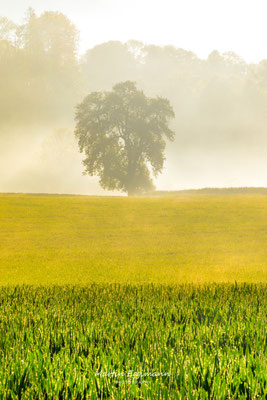 Switzerland - Aargau