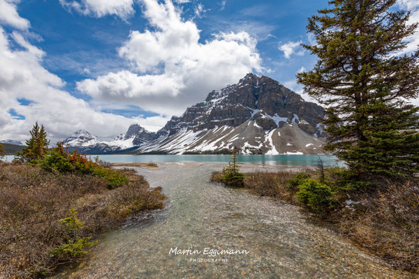 Canada - Alberta - Bow Lake