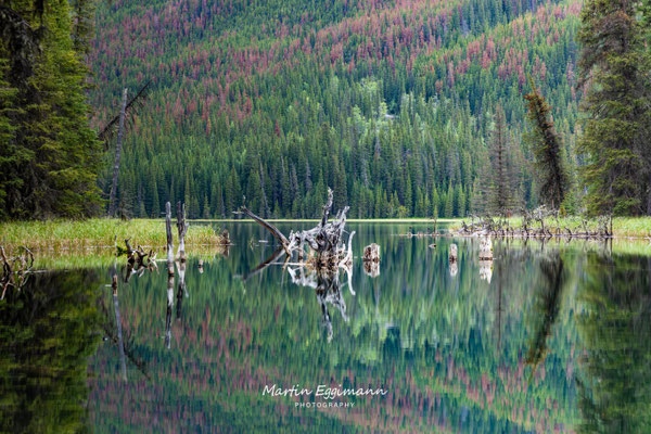 Canada - Alberta - Beaver Lake