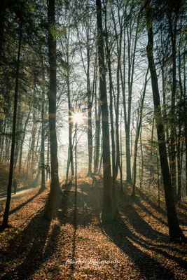 Switzerland - Aargau