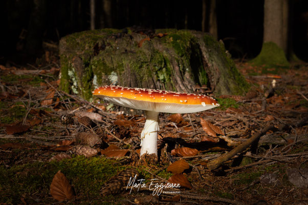 Switzerland - Aargau