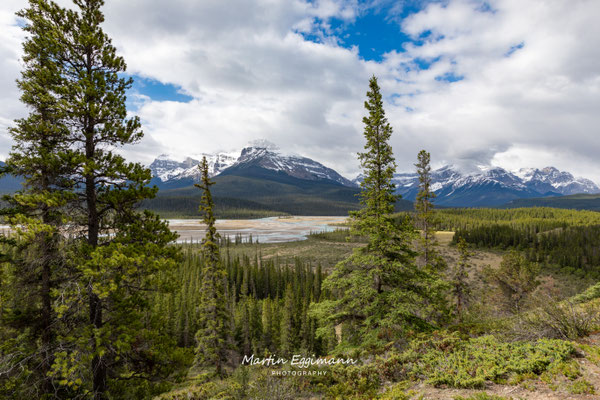 Canada - Alberta - Icefield Parkway
