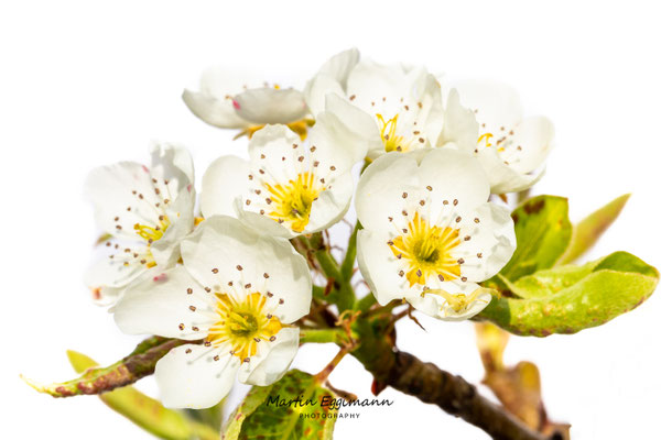 Switzerland - Aargau