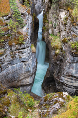 Canada - Alberta - Maligne Canyon