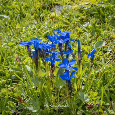 Switzerland - Churfirsten