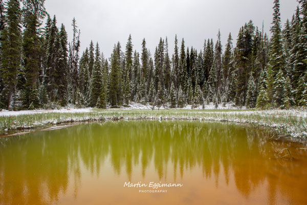 Canada - Britisch Columbia - Ochre Spring