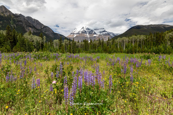 Canada - Britisch Columbia - Mount Robson