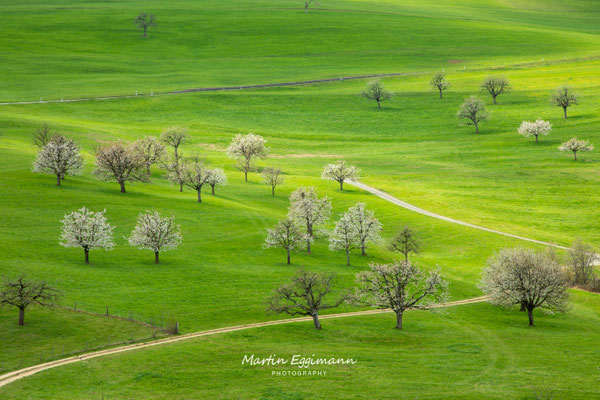 Switzerland - Baselland 