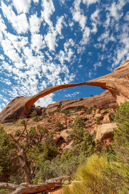 USA - Arches NP