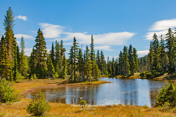 Canada - Vancouver Island - Strathcona PP