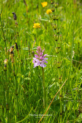 Switzerland - Entlebuch