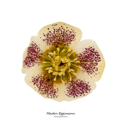 Switzerland - Aargau