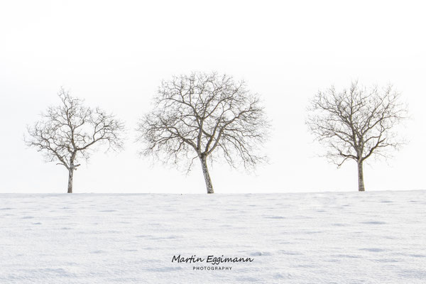 Switzerland - Aargau