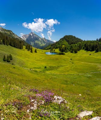 Switzerland - Toggenburg
