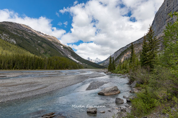 Canada - Alberta - Icefield Parkway