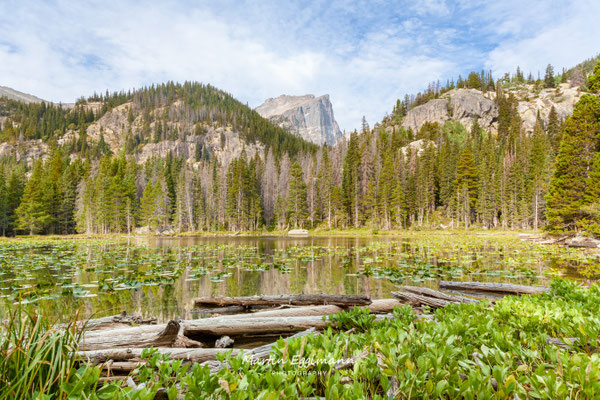 USA - Rocky Mountain NP
