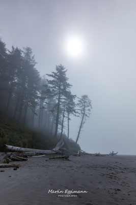 USA - Washington