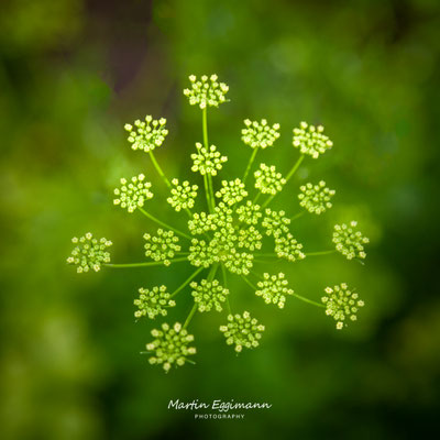 Switzerland - Aargau