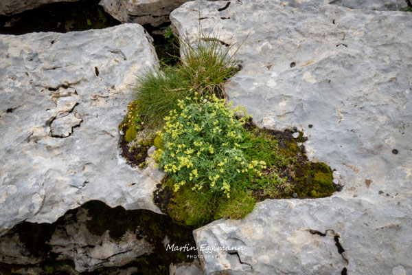 Switzerland - Churfirsten