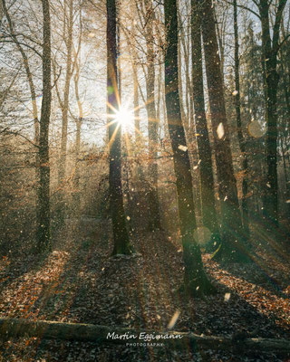 Switzerland - Aargau