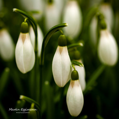 Switzerland - Aargau