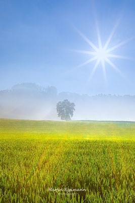 Switzerland - Aargau