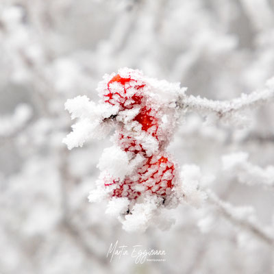 Switzerland - Baselland