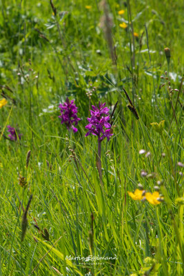 Switzerland - Entlebuch