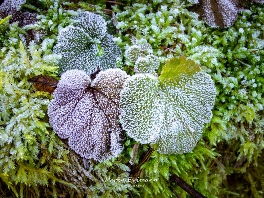 Switzerland - Aargau