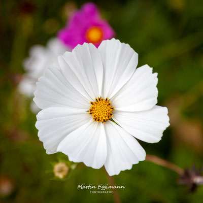 Switzerland - Aargau