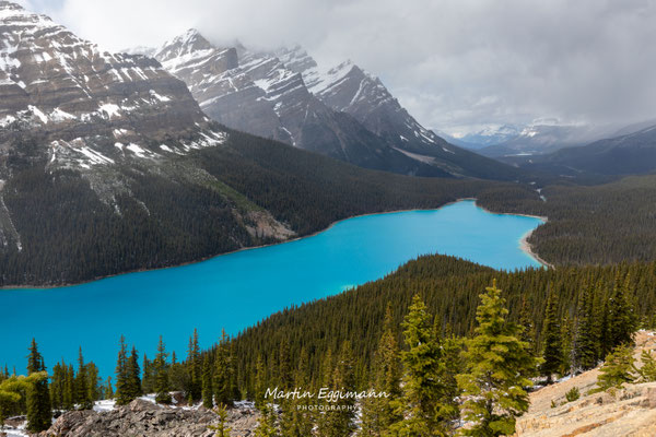 Canada - Alberta - Peyto Lake