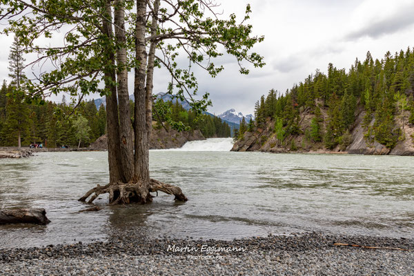 Canada - Alberta - Bow Falls