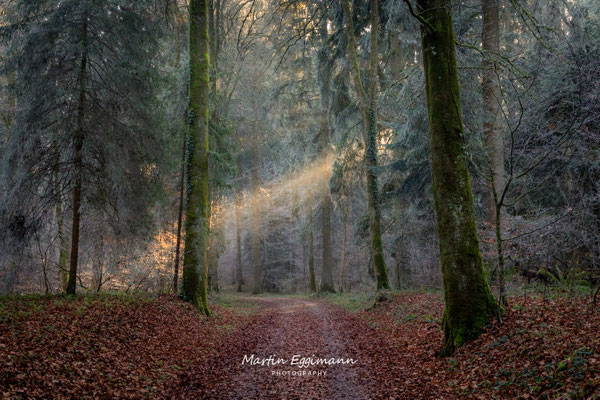 Switzerland - Aargau