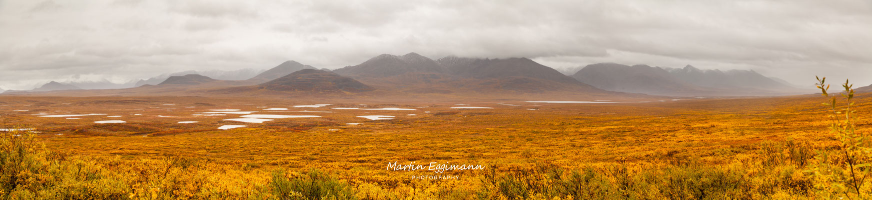 USA - Alaska - Denali Hwy