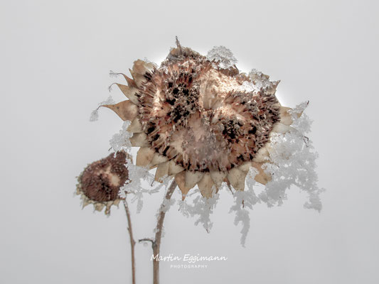 Switzerland - Aargau