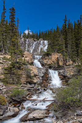 Canada - Alberta - Tangle Falls