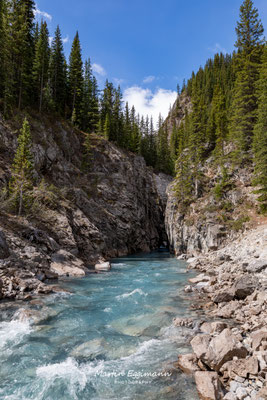 Canada - Alberta - Icefield Parkway