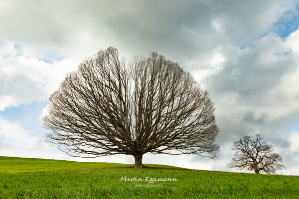 Switzerland - Baselland