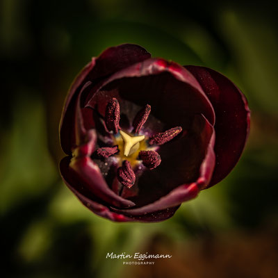 Switzerland - Aargau