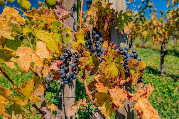 Switzerland - Aargau