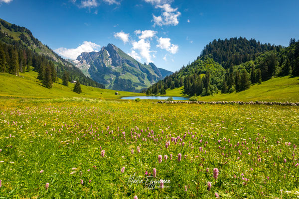Switzerland - Toggenburg