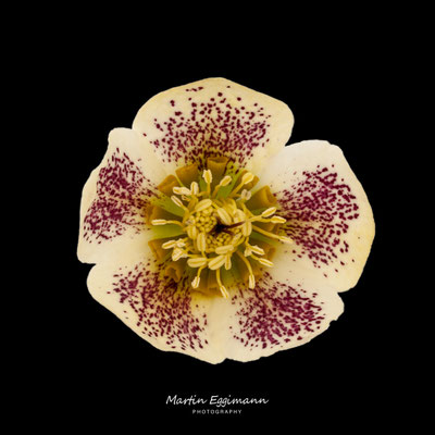 Switzerland - Aargau