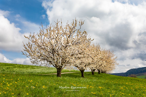 Switzerland - Baselland 